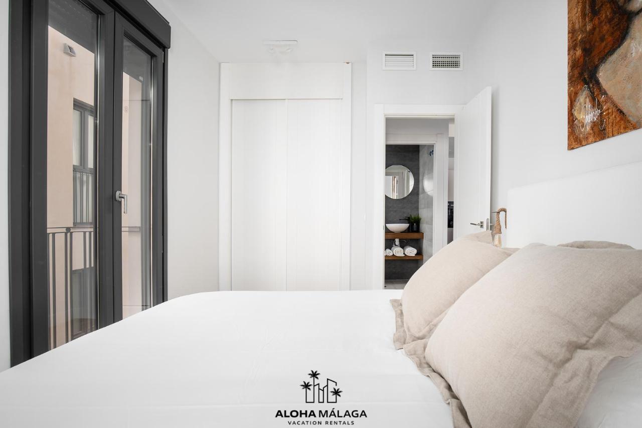 马拉加Luxury Duplex With Pool And Padel Court In Town公寓 外观 照片